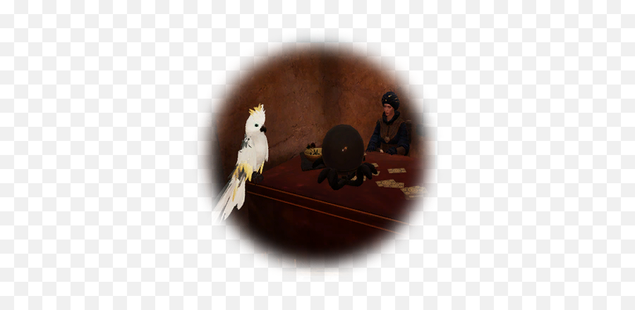 Nice - Cockatiel Png,Cockatiel Icon