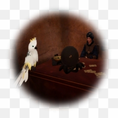 Nice - Cockatiel Png,Cockatiel Icon