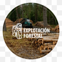 Servicont Servicios Maquinaria Y Minería - Soil png