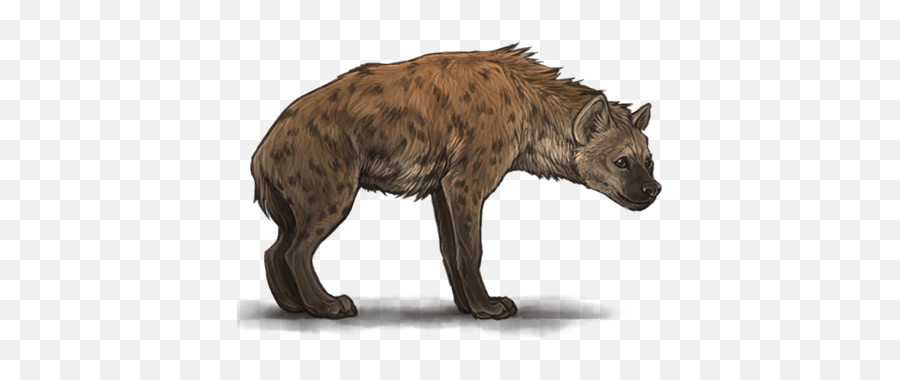 Hyena Png Image Download