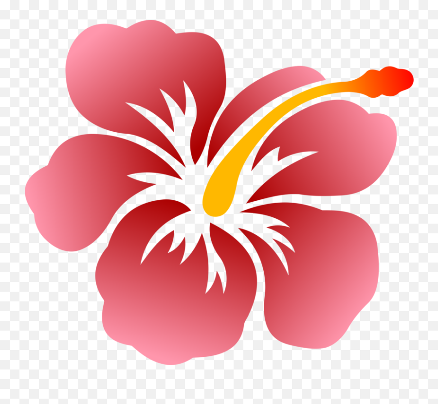 Hibiscusplantflower Png Clipart - Royalty Free Svg Png Drawing Hibiscus,Hawaiian Flowers Png