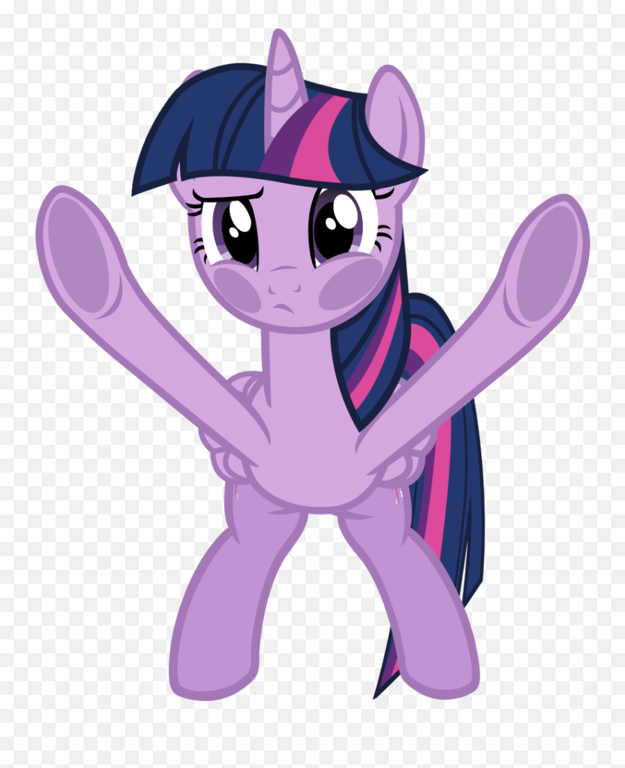 So This Is The Legendary U0027fourth Wallu0027 - 4chanarchives Angry Twilight Sparkle Mad Png,Pinkie Pie Icon Tumblr