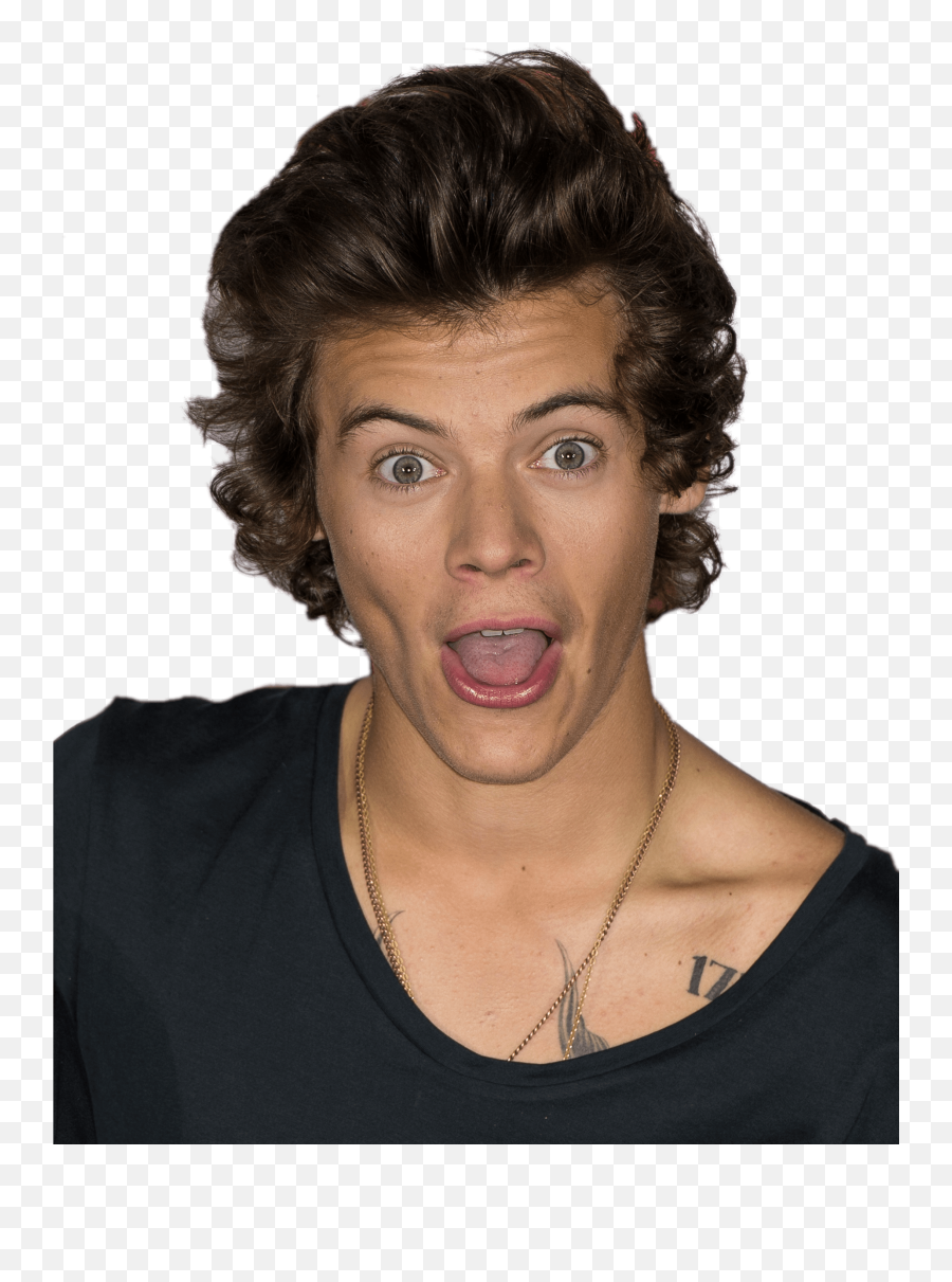 Download - Harry Styles Funny Face Transparent Cartoon Png,Funny Face Png -  free transparent png images 