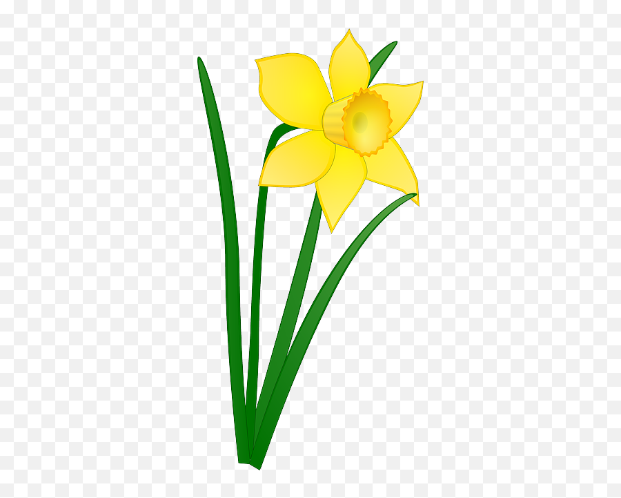 13 Easter Flower Clipart Transparent Free Clip Art Stock Png