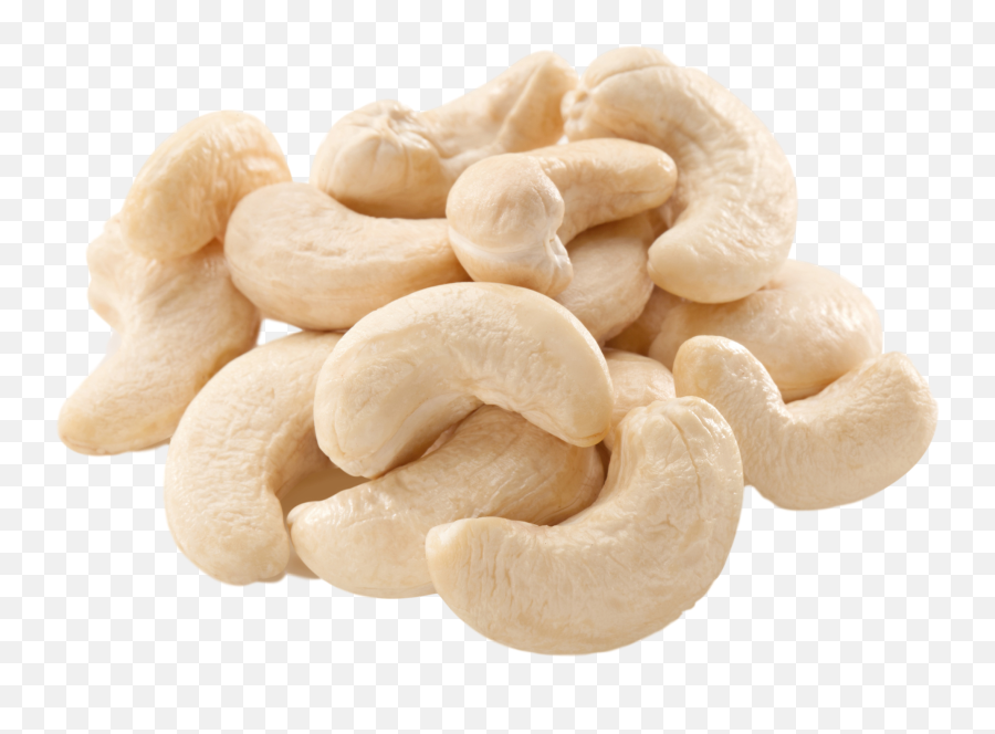 download free png cashew transparent hd cashew nut png free transparent png images pngaaa com transparent hd cashew nut png