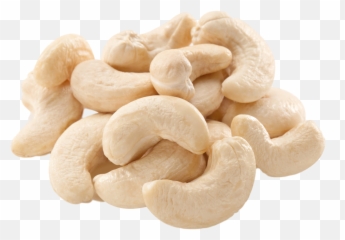 Download Free Png Cashew - Transparent Hd Cashew Nut Png,Cashew Png