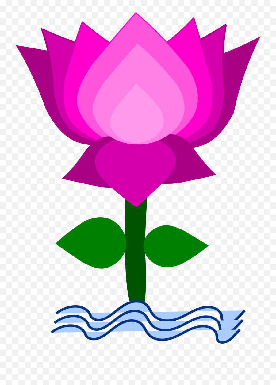 Images Of Lotus Clipart - Lotus Clipart Png,Lotus Png