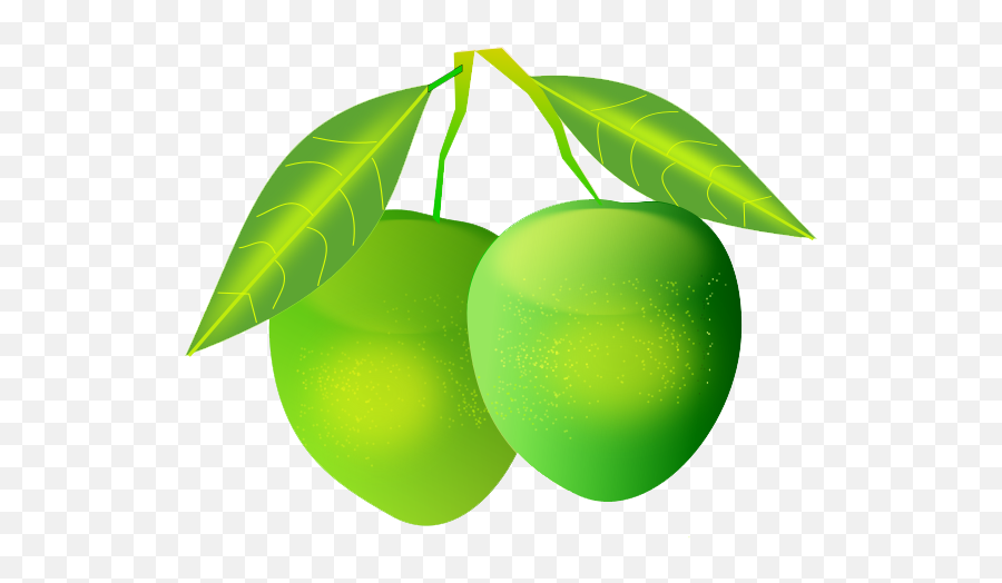 Mango Png Transparent Images All - Green Mangoes Png,Fruit Tree Png