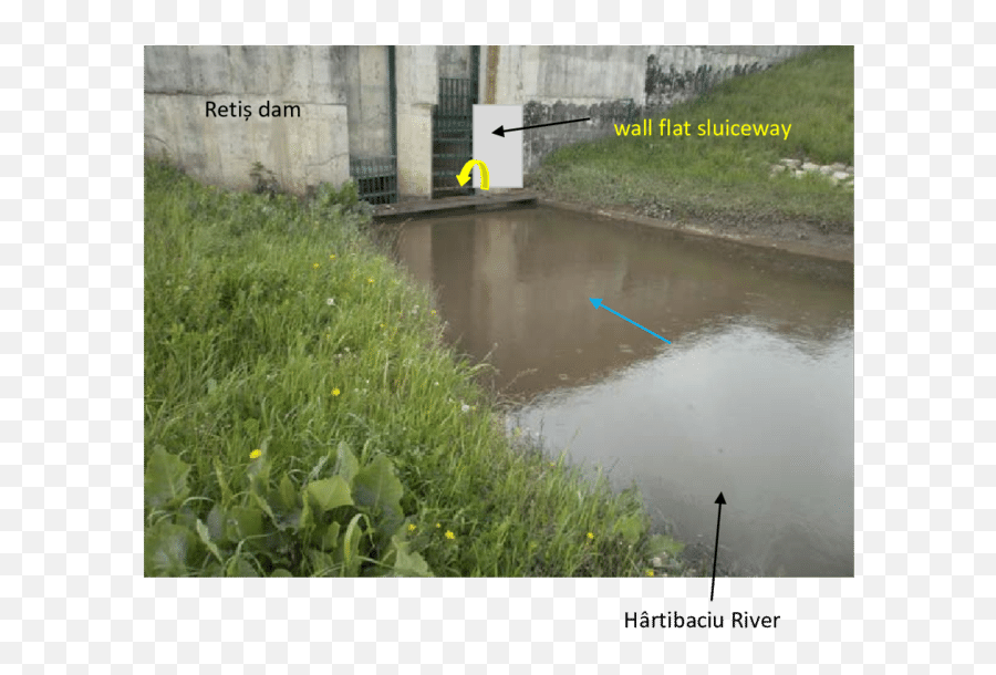 The Need To Fix A Wall Flat Sluiceway Download Scientific - Grass Png,Water Puddle Png