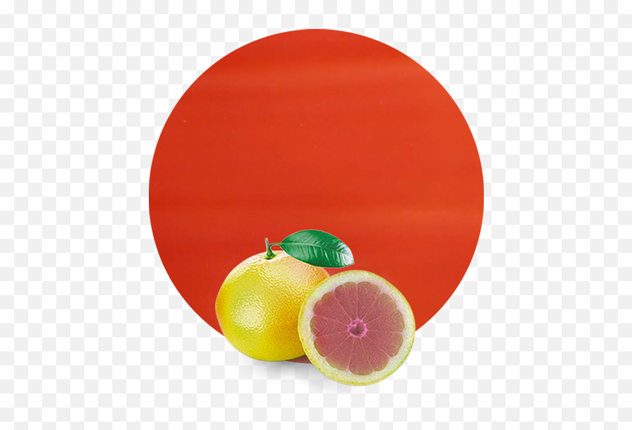 Pink Grapefruit Juice Nfc - Gibeau Orange Julep Png,Grapefruit Png