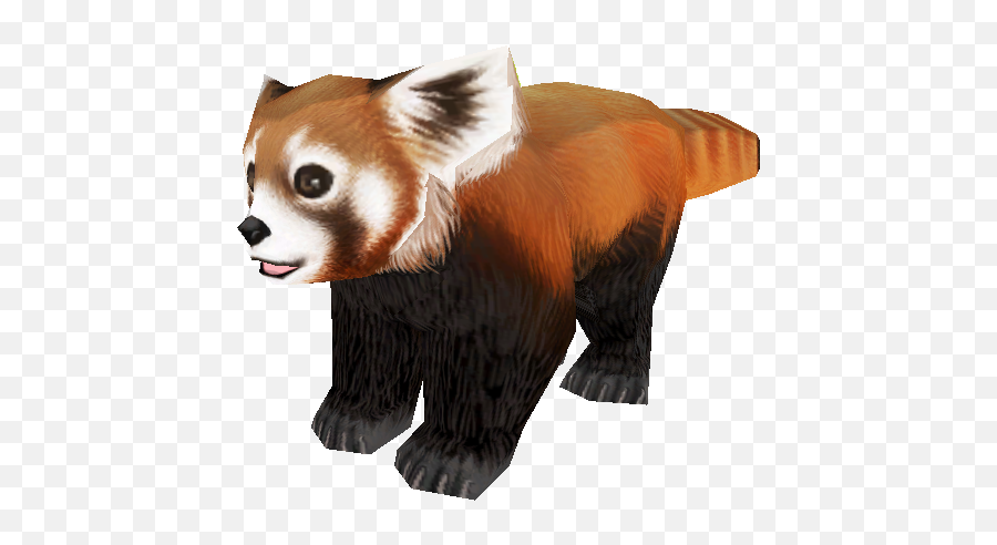 Red Panda Bear Giant Fur Snout - Zoo Tycoon Red Panda Png,Red Panda Transparent
