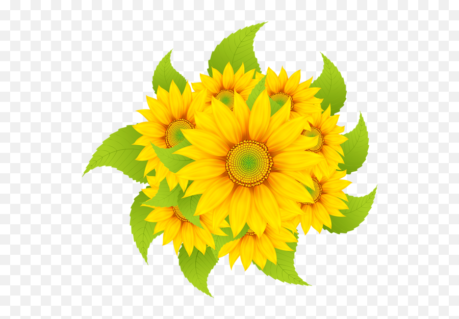 Sunflowers Decoration Clipart Png Image Bordado De Coruja - Clip Art,Sunflower Emoji Transparent