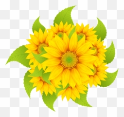 Sunflowers Decoration Clipart Png Image Bordado De Coruja - Art