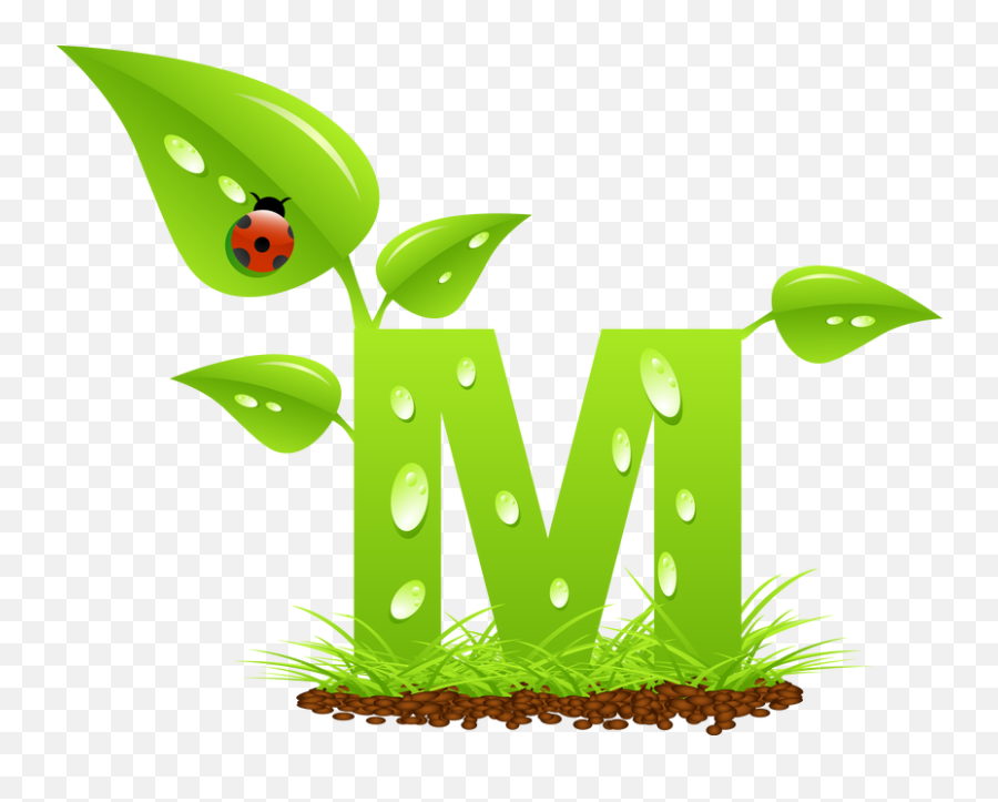 Fullscreen Page - Letter M With Grass Png,Letter M Png