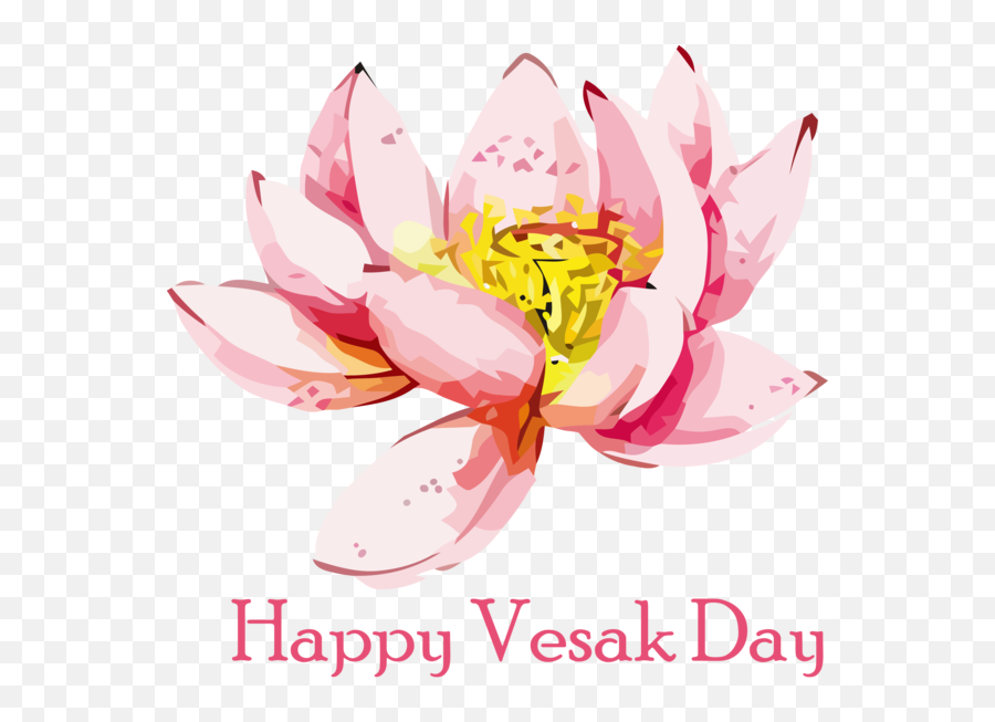 Vesak Flower Lotus Family For - Vesak Png,Lotus Transparent