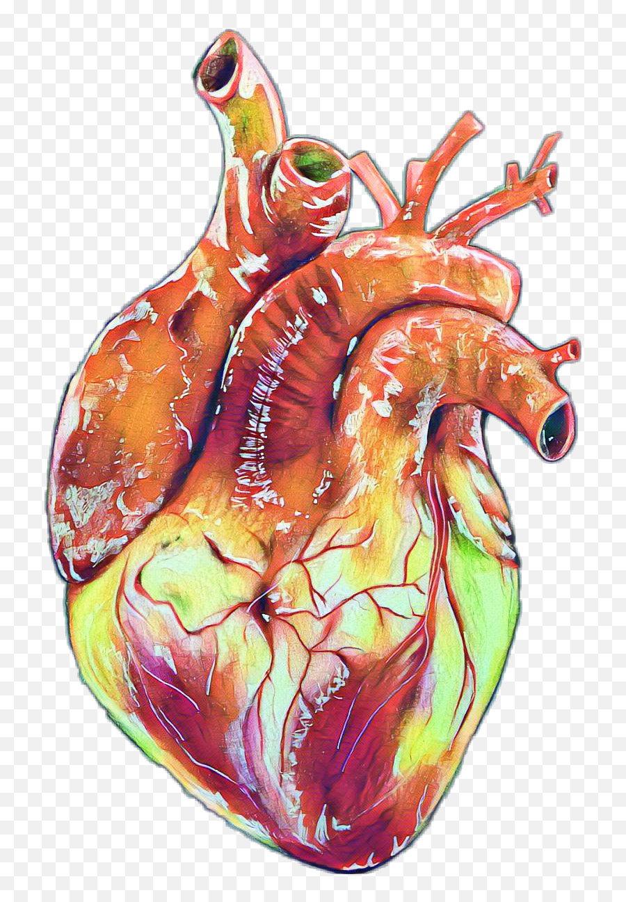 Anatomical Heart with Flowers Svg Graphic by AnastasiyaArtDesign · Creative  Fabrica