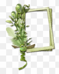 Green Frames Png - Photo 861 Free Png Download Image Arte Galinha Pintadinha Caneca Png,Photo Frames Png