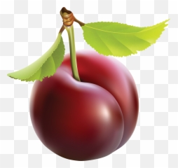 Plum Png Image For Free Download - Clipart Of Plum,Plum Png