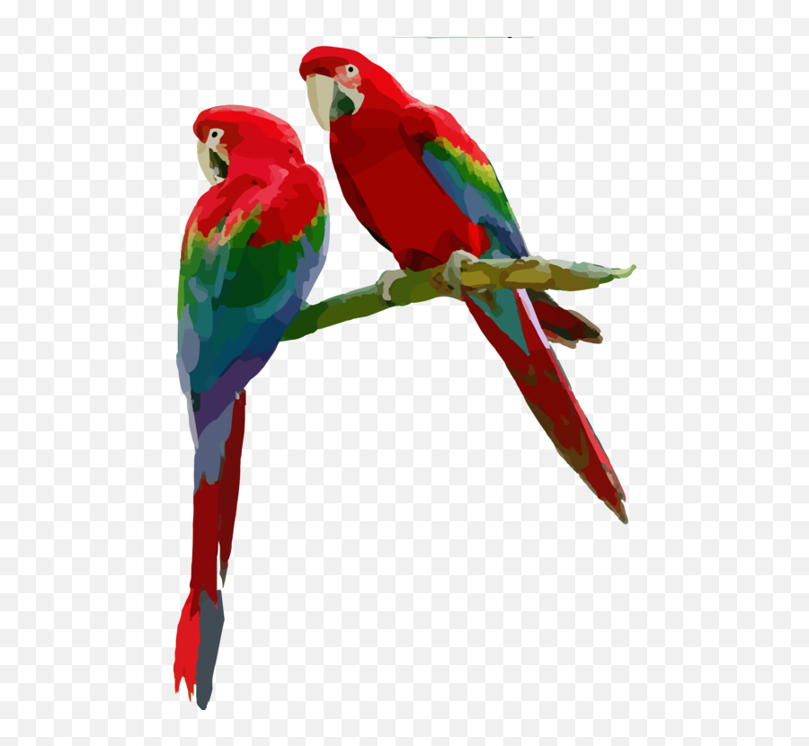 Macaw Parrot Budgie Png Clipart - Bird Sitting On A Branch Clipart,Macaw Png