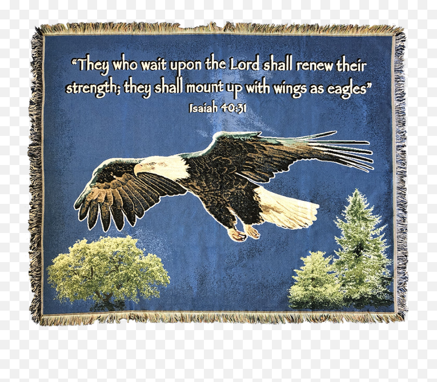On Eagles Wings Blanket - Eagles Wings Png,Eagle Wings Png