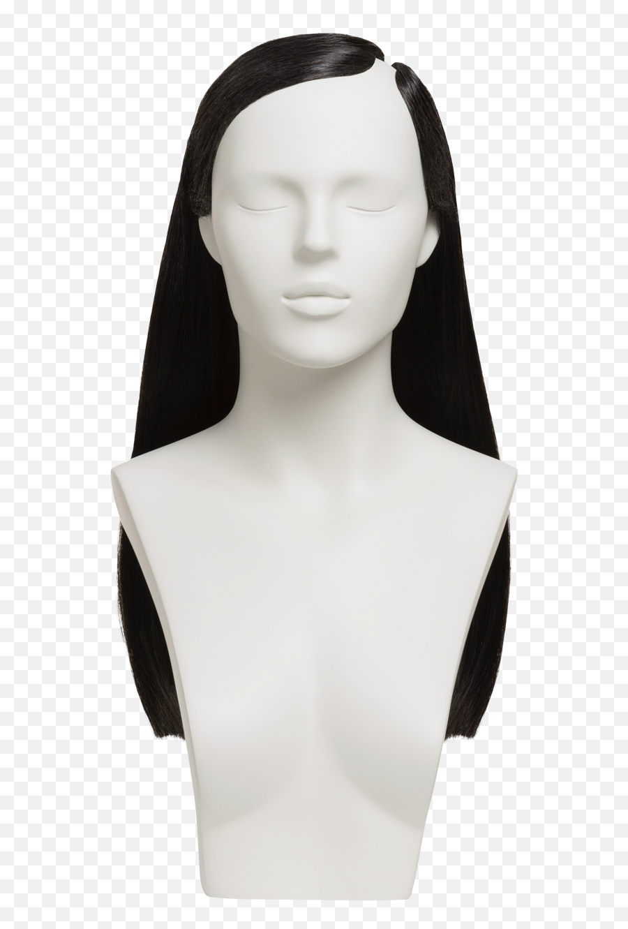 Hwfb - Hair Design Png,Mannequin Head Png