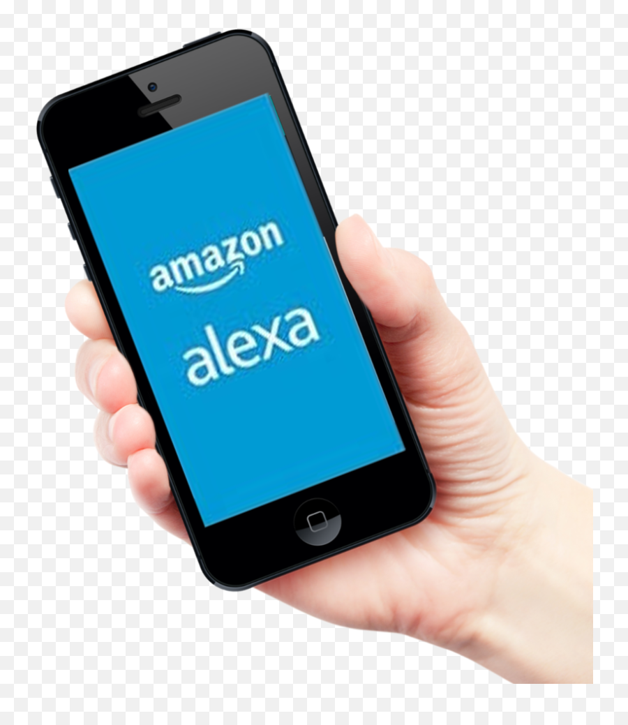 Download Amazon Alexa App By Echo Support - Infogram Download Alexa App Png,Amazon Echo Png