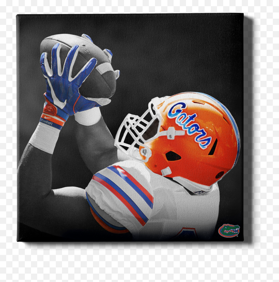Florida Gators - Stadium College Wall Art Revolution Helmets Png,Shopping Cart Icon 16x16