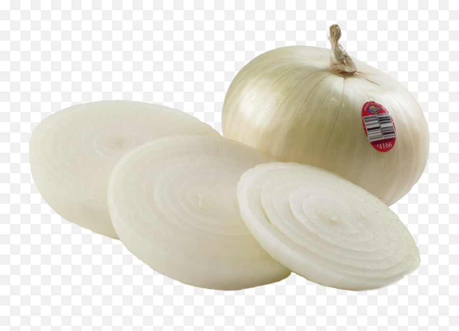 Banner Royalty Free Download Sweet Onions From Shuman - Cut Png,Onion Png