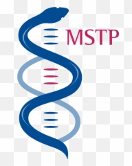 Medicine Logo Pictures To Pin - Uic Mstp png
