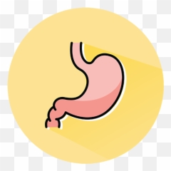 Best Gastroenterologist In Kolkata Gastroenterology Doctor Png