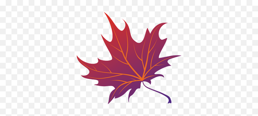 Download Japanese Maple Png - Maple Leaf,Japanese Maple Png