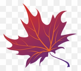 Download Japanese Maple Png - Leaf