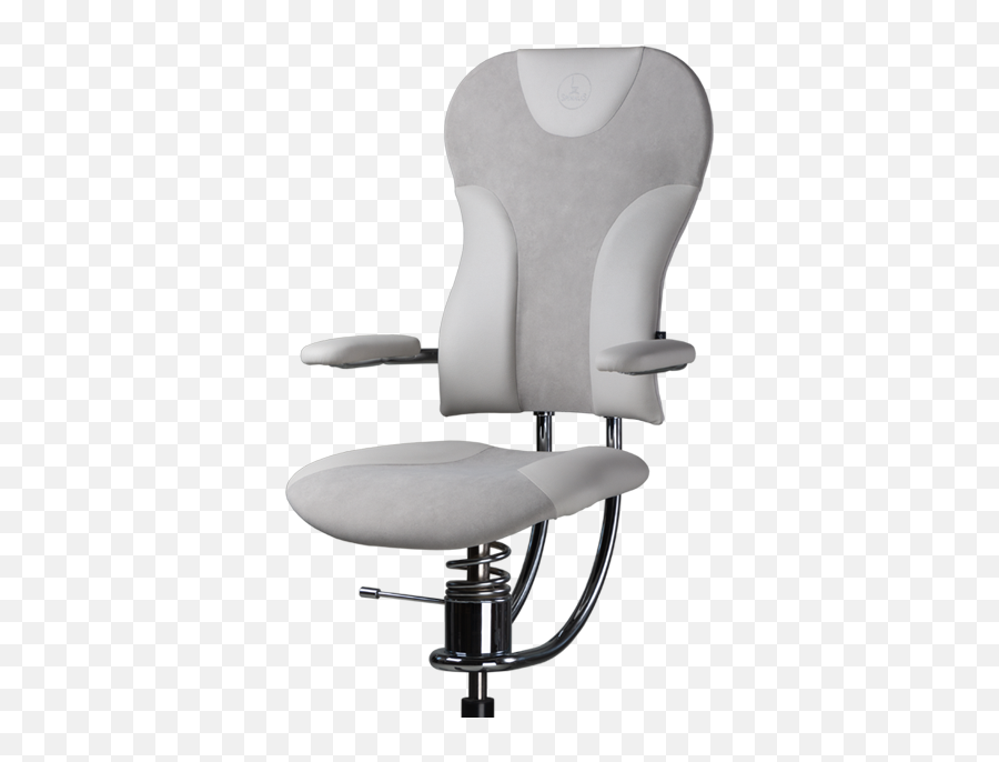 Office Chairs For Healthy Back Png Chair