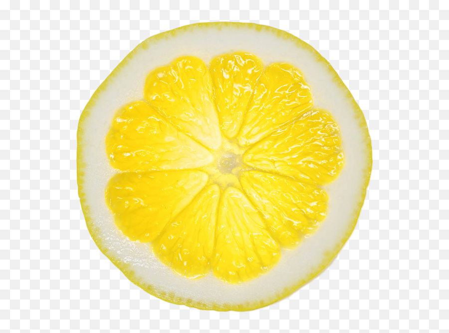 Lemon Slice - Meyer Lemon Full Size Png Download Seekpng Meyer Lemon,Lemon Slice Png