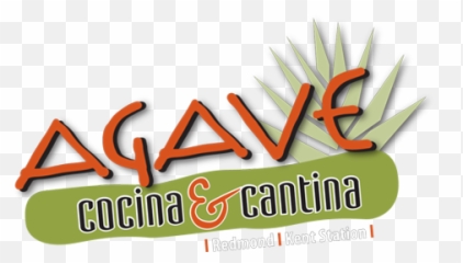 Agave Cocina U0026 Cantina U2013 Contemporary Mexican Cuisine - Agave Cocina Cantina Kent Wa Png,Agave Png