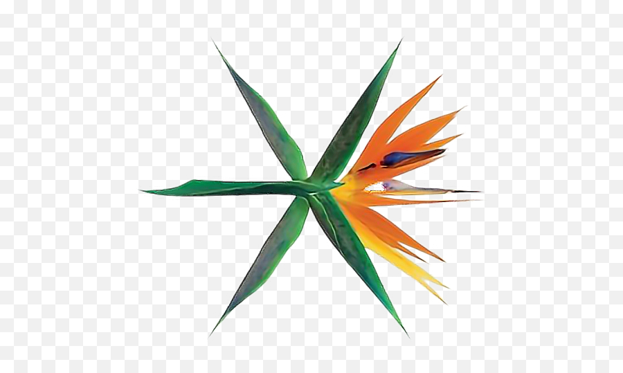 Exo Logo Ko Bop Comeback Png - Sticker By Ana Exo The War Album Art,Ko Png