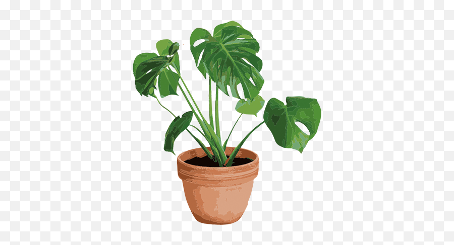 Plant Pot Decorative Wall Sticker - Tenstickers Transparent Plant Stickers Png,Monstera Leaf Png