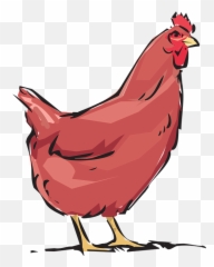 Download Chicken Cliparts Black 23 Buy Art - Hen Transparent Background Png
