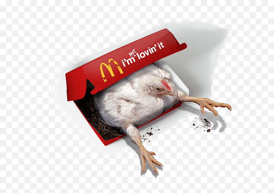 Iu0027m Not Lovinu0027 It - I M Not Lovin It Png,Mcdonalds Transparent