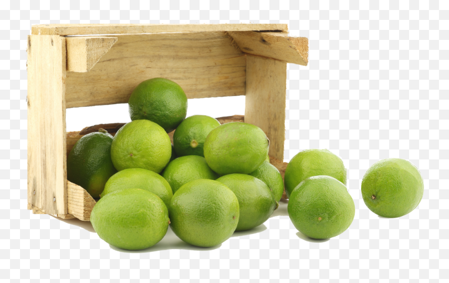 Fresh Juicy Limes - Key Lime Png,Limes Png