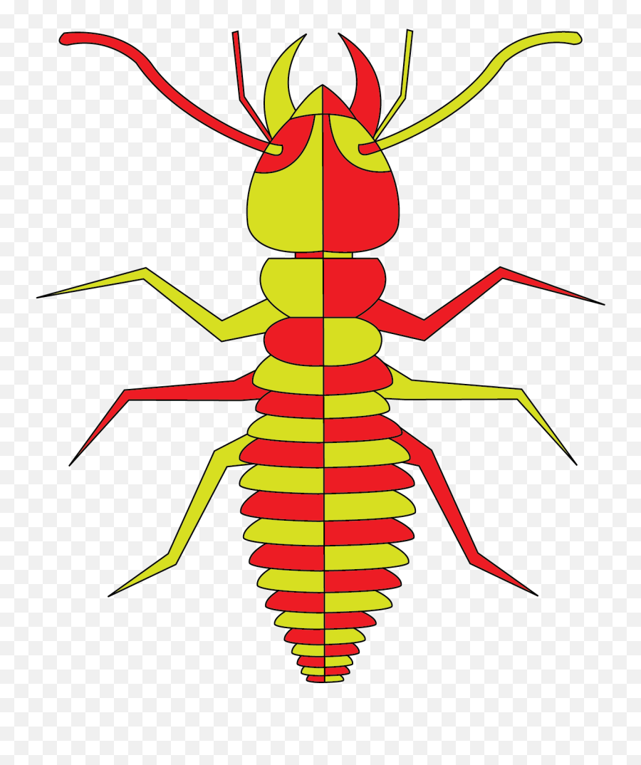 Termites - Ant Png,Termite Png