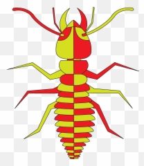 Termites - Ant Png,Termite Png