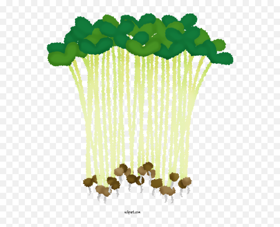 Food Plant Stem Floral Design Leaf For Vegetable - Vegetable Vertical Png,Vegetables Transparent