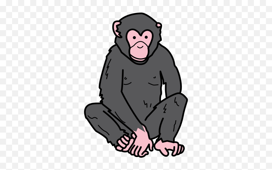 Chimpanzee In Arasaac Global Symbols - Quien Pertenece Esta Sombra Png,Chimpanzee Png