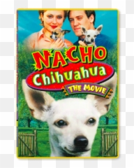 Nacho Chihuahua The Movie - Found Footage Festival Nacho Chihuahua The Movie Png,Chihuahua Png