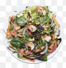 Octopus Salad - Garden Salad Png,Salad Png