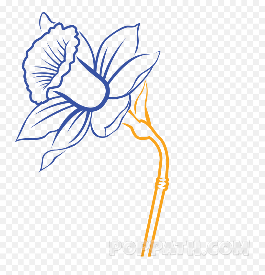 Daffodil Vector Simple - Daffodil Flower Drawing Narcissus Flower Drawing  Easy Png,Transparent Flower Drawing - free transparent png images -  