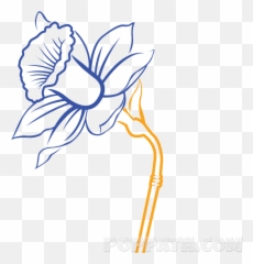 Daffodil Vector Simple - Flower Drawing Narcissus Easy png