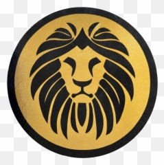 Mosaic Designs - Plaza De Armas Of Pucallpa Png,Web Lion Icon