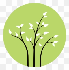 Three Branches Wellness - Twig png